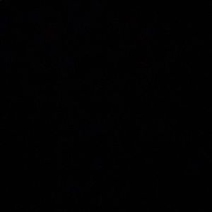 Meet your Posher, Dylan